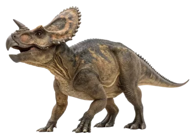 Imagen PNG para descargar